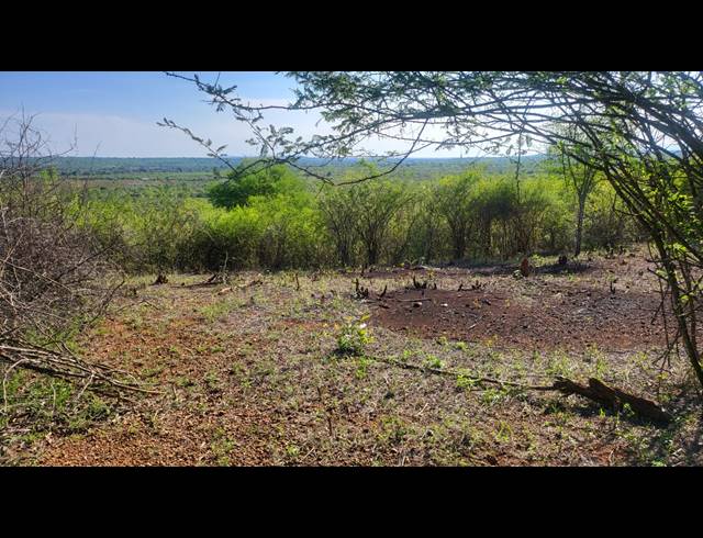 28HA VACANT LAND FOR SALE IN MANGONDI B